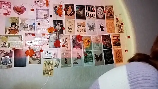 Ieadership's cam snapshot