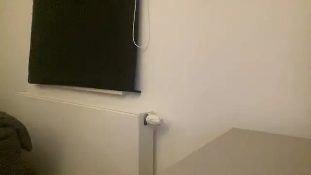 peterpapiNL live sex cam