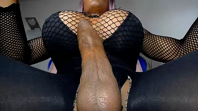 paulabigcock live sex cam