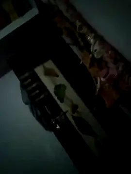 starnighcouple's cam snapshot