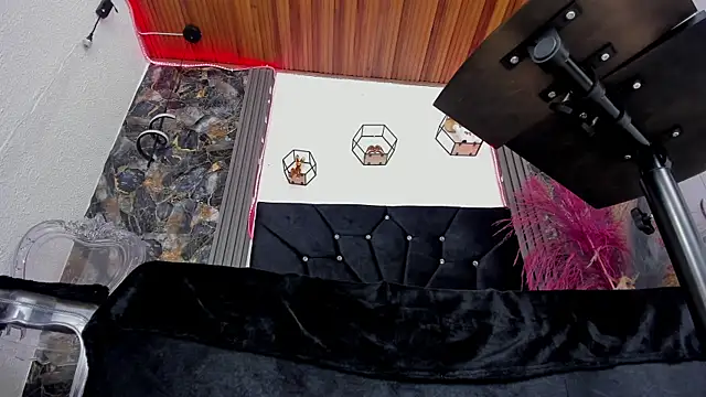 Halley_Ravenn live sex cam