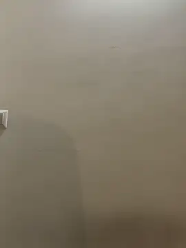 Farida06 live sex cam