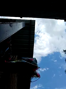 young_dairy01 live sex cam