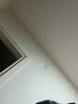 Turkishleo live sex cam