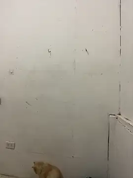 xqueensatisfaction69x live sex cam