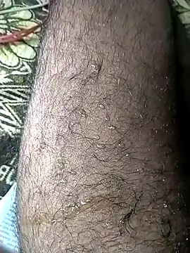 jellydicks live sex cam