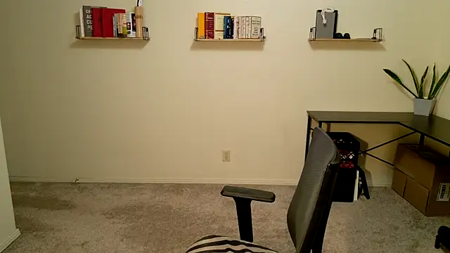 Ty_lerDavid's cam snapshot