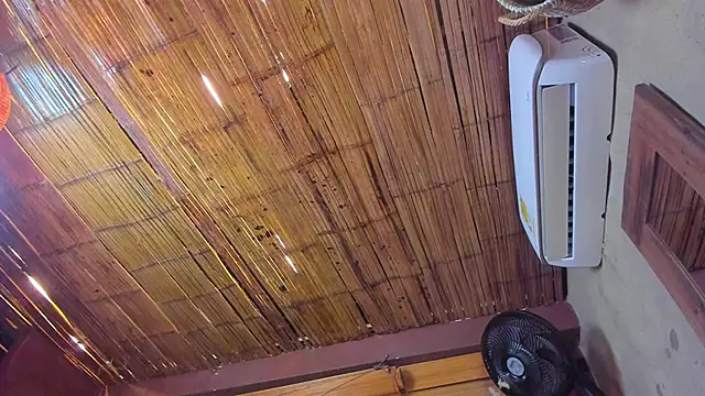 AlanCutee live sex cam