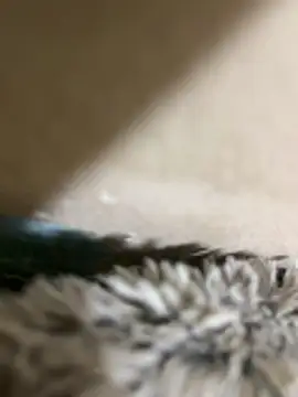 Gabduro80 live sex cam