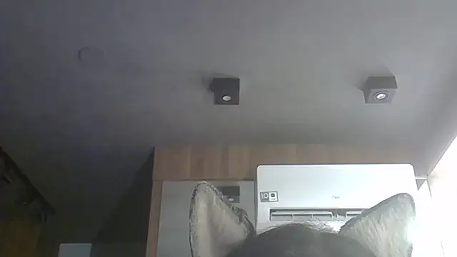 SkinnyKitten live sex cam