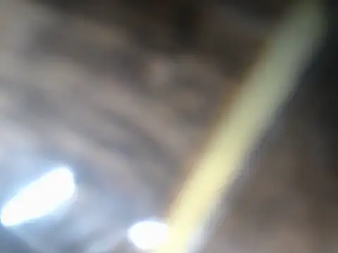 Lusty_1's cam snapshot