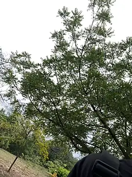 outdoors11 live sex cam