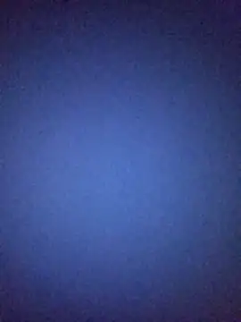 ximena_bracho live sex cam