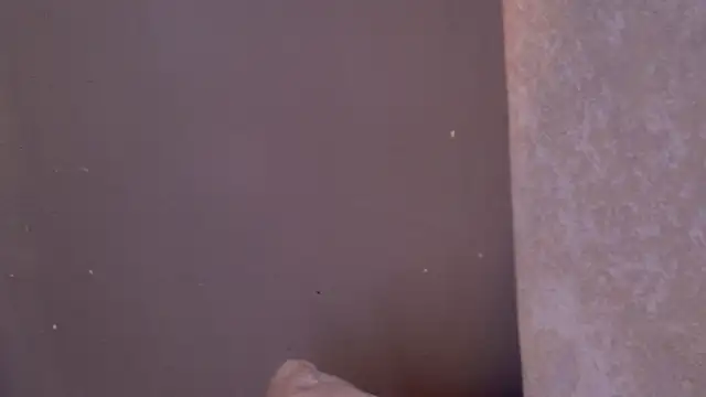 saraa_sm's cam snapshot