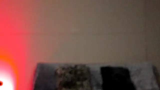 nicolvibes_212's cam snapshot