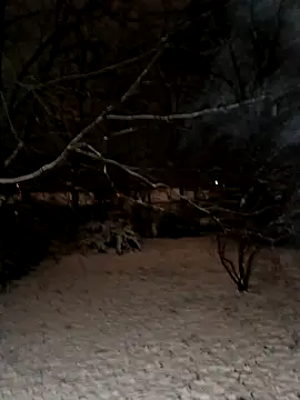 pena633 live sex cam