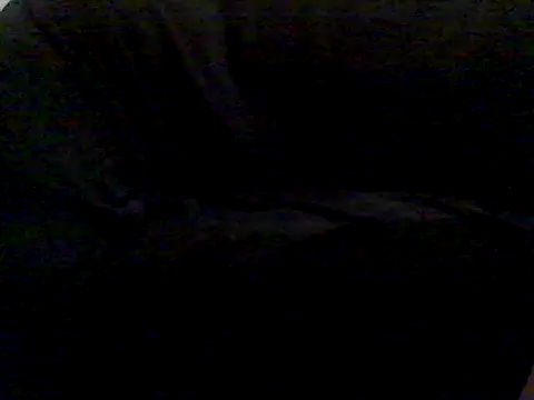 servepa's cam snapshot