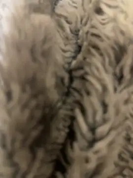 Gabduro80's cam snapshot