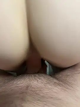 BobMeinster live sex cam