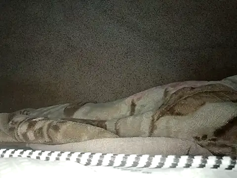 seductivescamp live sex cam