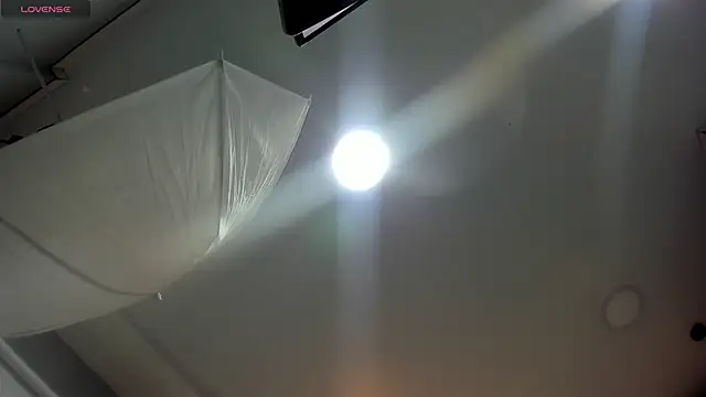 ObsidianOrchid's web cam