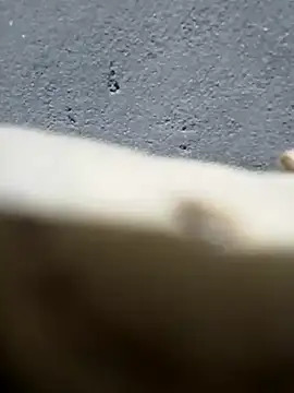 lynae-0's cam snapshot