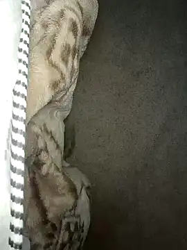 seductivescamp live sex cam