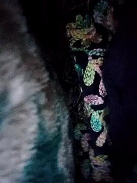 EngravedCecropia's cam snapshot