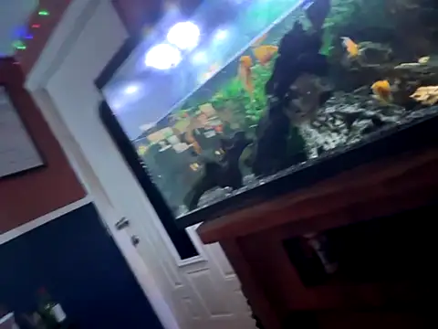 bigdickgio6923 live sex cam