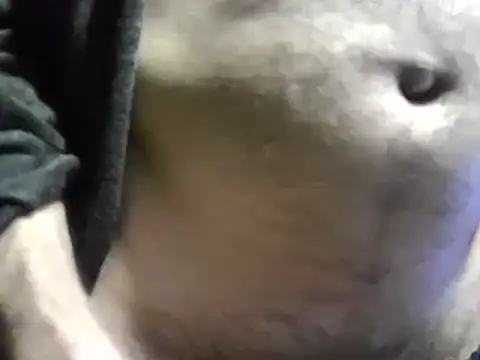 Pol8822 live sex cam