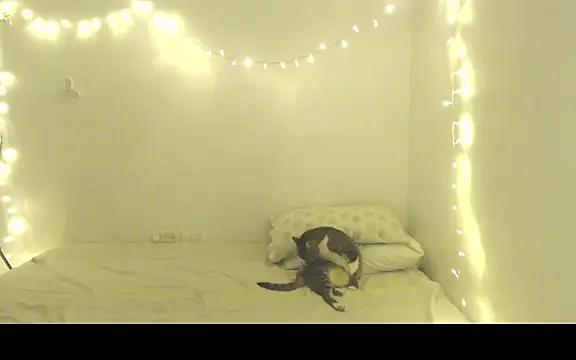 Renata_Honey's cam snapshot