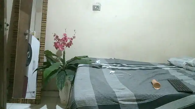 pornstarbrezillian live sex cam