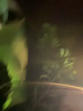 Daniel-900 live sex cam