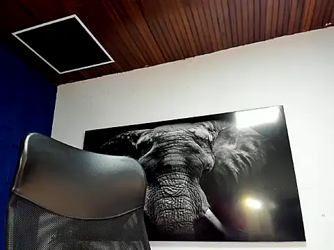 king_falconer live sex cam