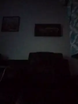 ReallyReallyReal's cam snapshot