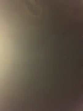 Boysex227 live sex cam