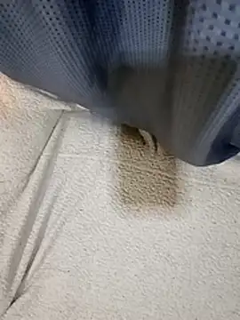 sexygosht's cam snapshot