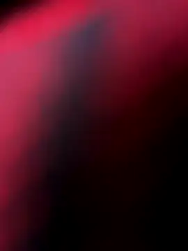 elwhite1996 live sex cam