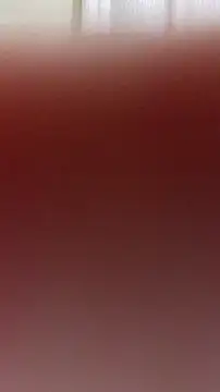 Allyardosia's cam snapshot