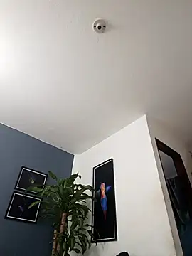 SilvaBranko live sex cam