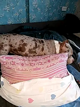 Lovers__Annn's cam snapshot