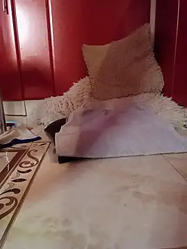 Angelis_Paradise live sex cam