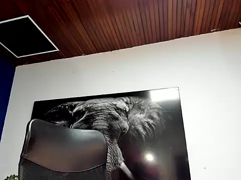 king_falconer live sex cam