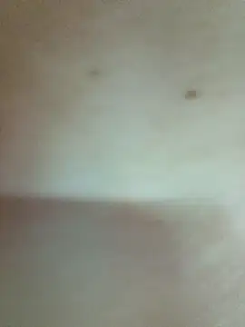 Foxylce's cam snapshot