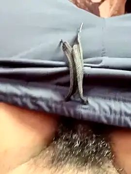 dolphiinn live sex cam