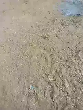 Kumari_gairl's cam snapshot