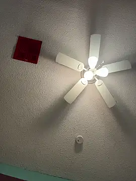 MyHoneyFrida live sex cam