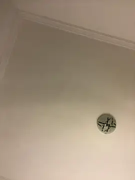 Boneca25 live sex cam