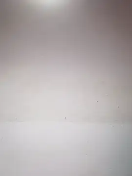 Lovely_Ladyboy_star live sex cam