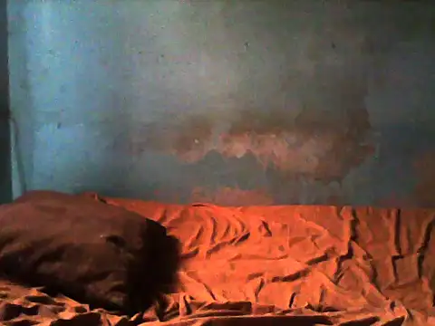 little__joy's cam snapshot